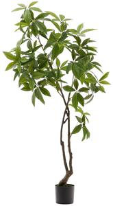 Umělá rostlina Kave Home Pachira 180 cm