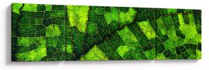Obraz - Detail listu (170x50 cm)