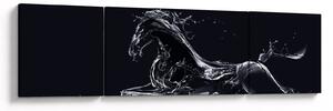 Obraz - Kůň a voda (170x50 cm)