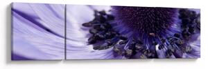 Obraz - Fialový květ (170x50 cm)