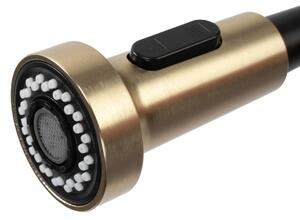 REA-B4821 - Dřezová baterie s vytahovací sprškou COLIN 42,5 cm broušená zlatá