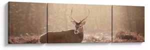 Obraz - Jelen v lese (170x50 cm)