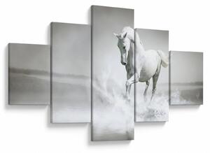 Obraz - Bílý kůň (125x70 cm)