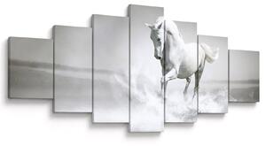 Obraz - Bílý kůň (210x100 cm)