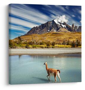 Obraz - Národní park Torres del Paine (30x30 cm)