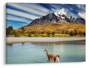 Obraz - Národní park Torres del Paine (70x50 cm)