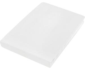 ELASTICKÉ PROSTĚRADLO, bílá, 100/200 cm Esposa - Prostěradla