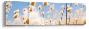 Obraz - Zlaté pole (170x50 cm)