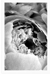 Plakát černobílé lupínky květu - 20x30 black