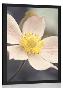 Plakát jemnost květu - 20x30 black