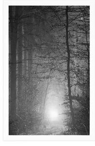 Plakát světlo v lese v černobílém provedení - 20x30 black