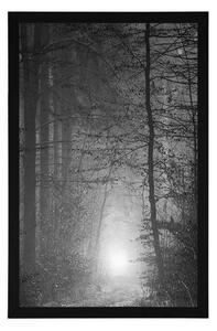 Plakát světlo v lese v černobílém provedení - 20x30 black