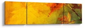 Obraz - Podzimní listy (170x50 cm)
