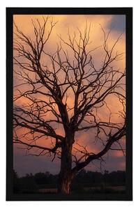 Plakát nádherný strom na louce - 20x30 black