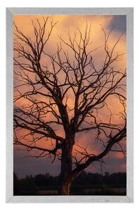 Plakát nádherný strom na louce - 20x30 black