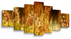Obraz - Detail rosy (210x100 cm)