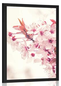 Plakát růžové květy třešně - 20x30 black