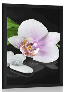 Plakát zen kameny a orchidej