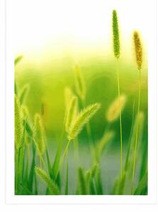 Plakát stébla trávy v zeleném provedení - 20x30 black