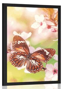 Plakát jarní květiny s exotickými motýly