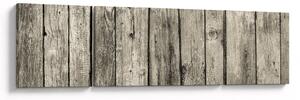 Obraz - Dřevo (170x50 cm)