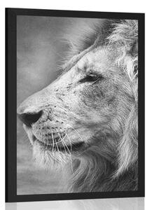 Plakát africký lev v černobílém provedení