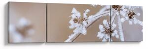 Obraz - Mráz (170x50 cm)