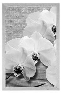 Plakát orchidej na plátně v černobílém provedení