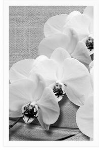 Plakát orchidej na plátně v černobílém provedení