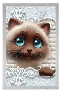 Plakát roztomilé kotě