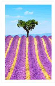 Plakát provensálské levandulové pole