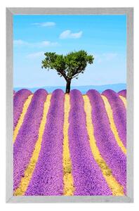 Plakát provensálské levandulové pole