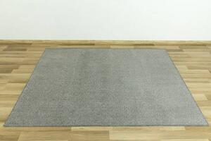 Betap Kusový koberec Dynasty 79 šedý Rozměr: 300x400 cm
