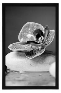 Plakát Zen kameny a orchidej v černobílém provedení