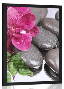 Plakát kvetoucí orchidej a wellness kameny