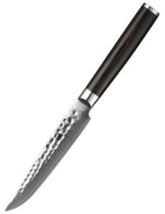 Steakový nůž XinZuo He B1H 5"