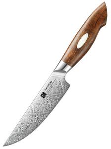 Steakový nůž XinZuo B46D 5"