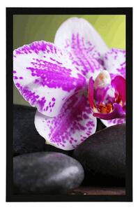 Plakát orchidej a černé kameny