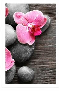 Plakát elegantní kompozice s květinami orchideje