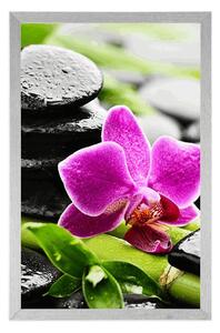 Plakát wellness zátiší s fialovou orchidejí