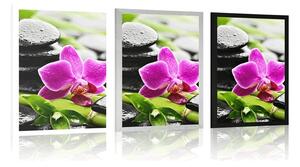 Plakát wellness zátiší s fialovou orchidejí