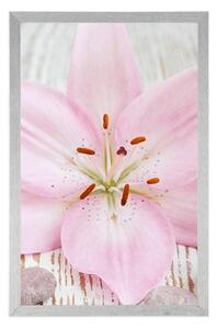 Plakát růžová lilie a Zen kameny - 20x30 black