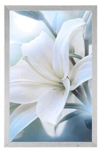 Plakát bílý květ lilie na abstraktním pozadí