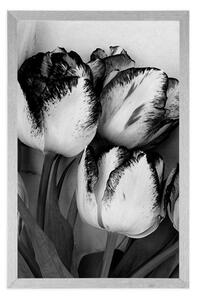 Plakát jarní tulipány v černobílém provedení