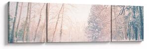Obraz - Výhled do lesa (170x50 cm)