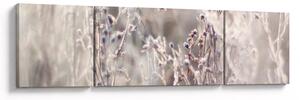 Obraz - Rostlina (170x50 cm)