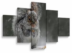 Obraz - Veverka v zimě (125x70 cm)