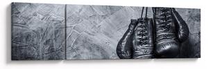Obraz - Boxerské rukavice (170x50 cm)