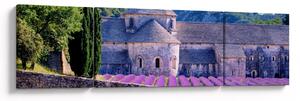 Obraz - Levandulové pole (170x50 cm)
