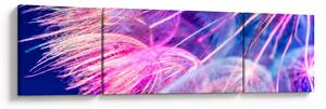 Obraz - Makro (170x50 cm)